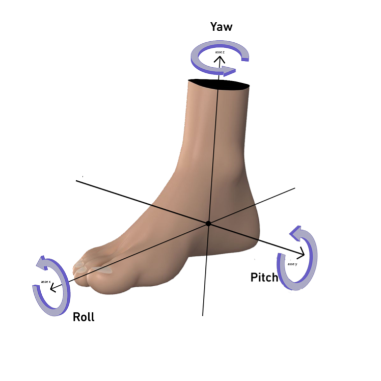 Fig2