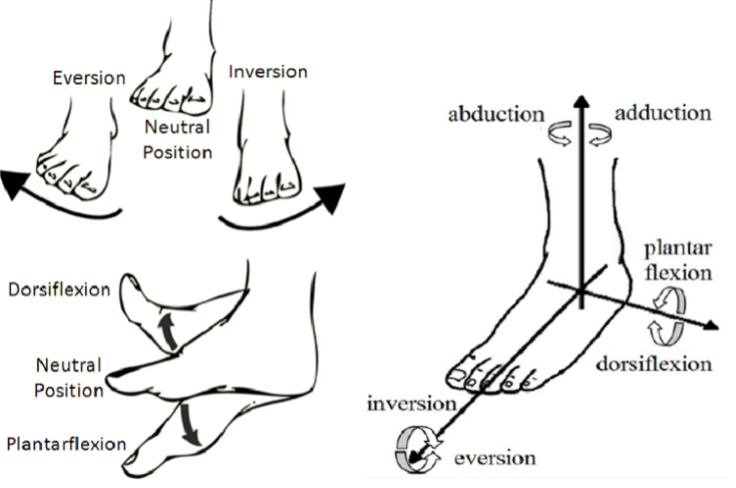 Fig3
