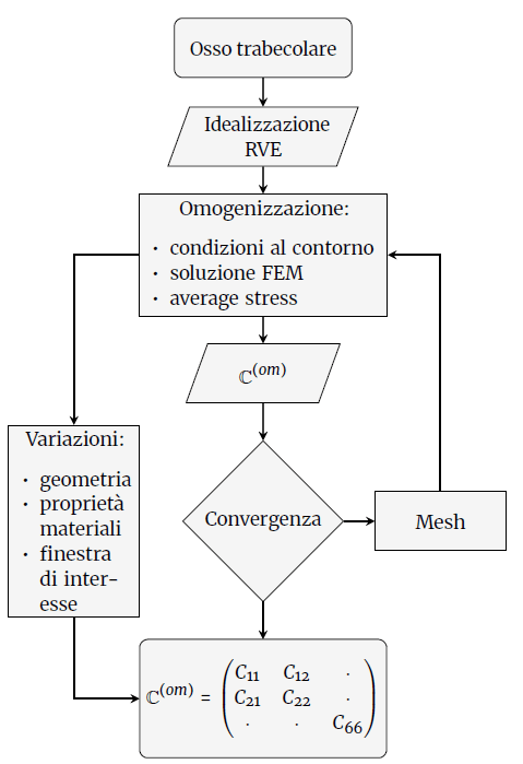 Osso trabecolare