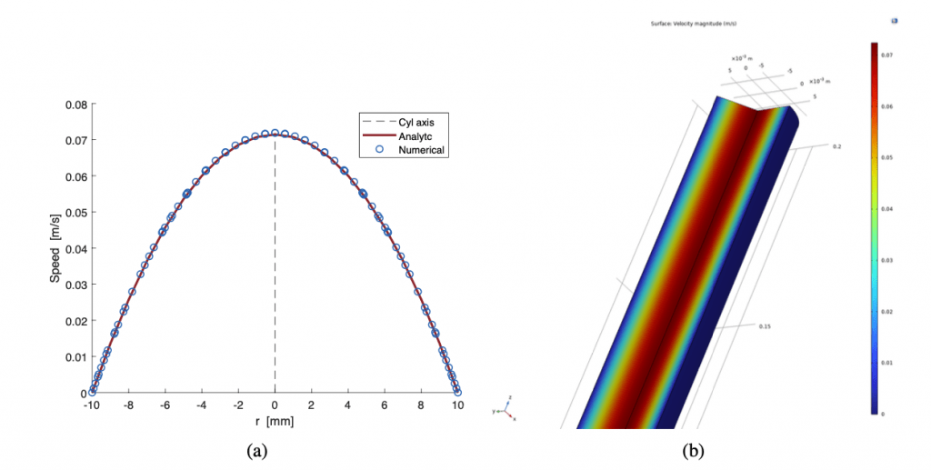 FIG. 2: Profilo di velocità parabolico nel moto alla Poiseuille (a) confrontato con la soluzione numerica nel vaso cilindrico assialsimmetrico. Profilo di velocità tridimensionale (b).