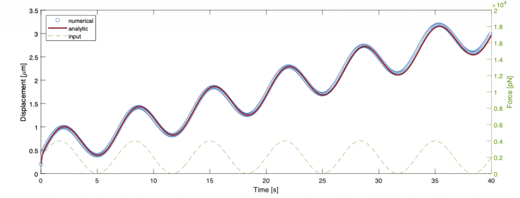 FIG. 6: Confronto tra il risultato analitico e il risultato numerico con ingresso sinusoidale a frequenza 0.15 Hz applicato per 40s.