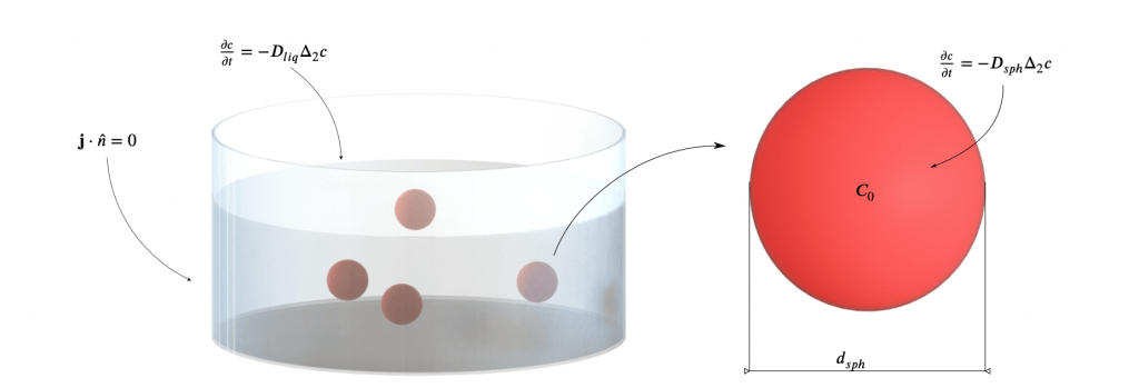 FIG. 2: Render grafico per la descrizione del problema affrontato. Sono presenti quattro sfere cariche di farmaco all’interno di un cilindro contenente una soluzione liquida e si vuole analizzare la cinetica diffusiva che si instaura tra le sfere, inizialmente cariche, e la soluzione.
