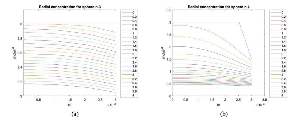 Radial trend of the concentration in coated (a) and uncoated (b) spheres as the simulation time varies. The horizontal coordinate moves from the center of the sphere to the edge.
