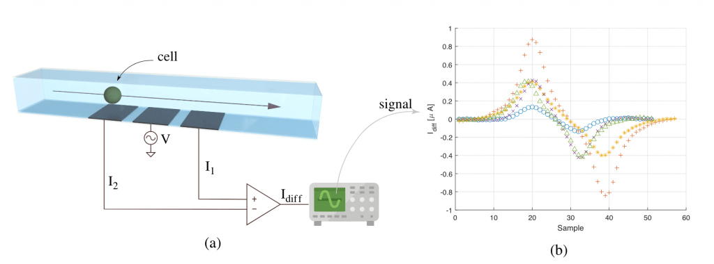 FIG. 1: Schema rappresentativo del citometro ad impedenza con la configurazione di elettrodi selezionata e la cellula passante (a); segnali della corrente differenziale misurata per 5 diversi campioni (b)