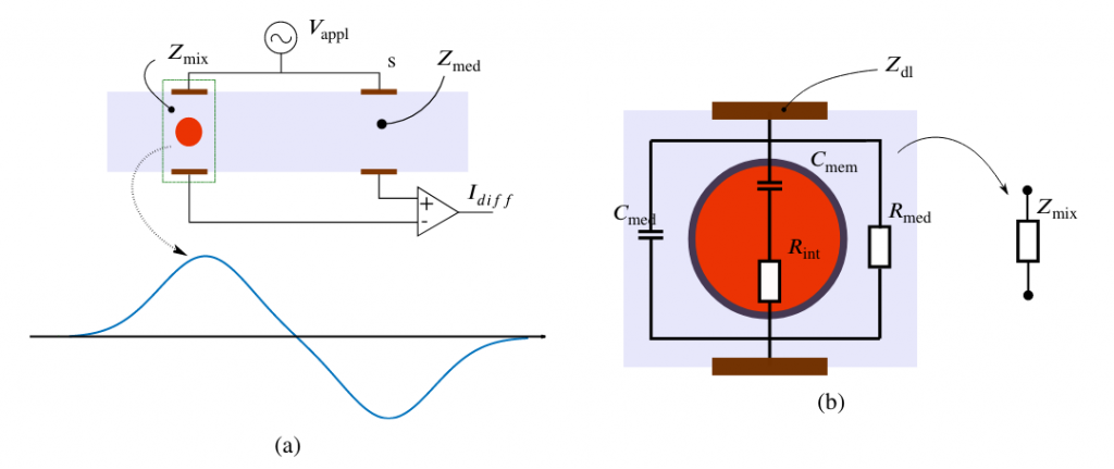 FIG. 1: Schema circuitale di misura nel citometro ad impedenza e tipico segnale (a); equivalente circuitale per cellula nel mezzo (b). Il segnale bipolare presenta il picco nel momento in cui la cellula passa tra le coppie parallele di elettrodi tale segnale può essere modellato, al variare della frequenza di misura, in uno schema circuitale equivalente. Nello sono trascurate eventuali impedenze parassite.