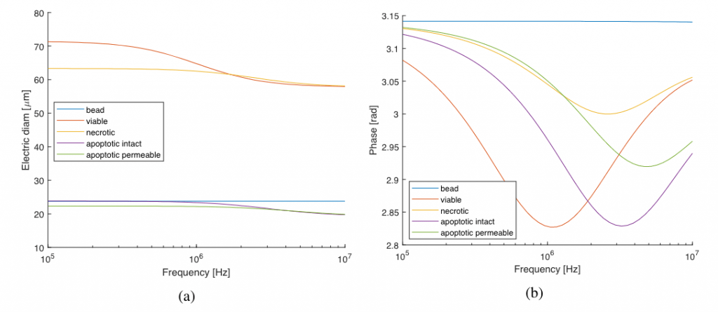 FIG. 3: Andamento del segnale ottenuto dal modello single shell al variare delle proprietà cellulari, rappresentato come diametro elettrico, proporzionale alla radice cubica del modulo (a) e fase (b)