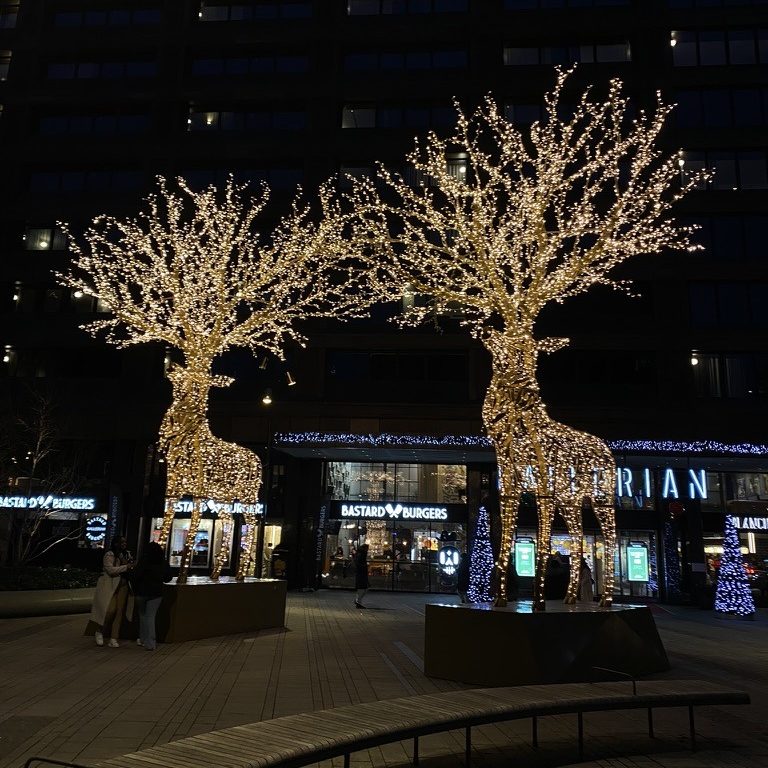 December Christmas lights