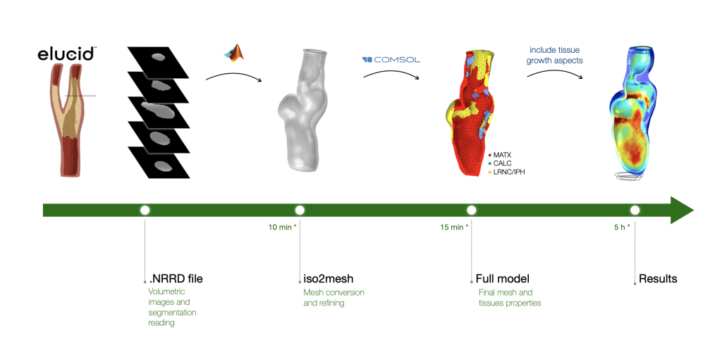 Biomechanics of diseased carotid arteries with atherosclerotic plaque and computational modeling
